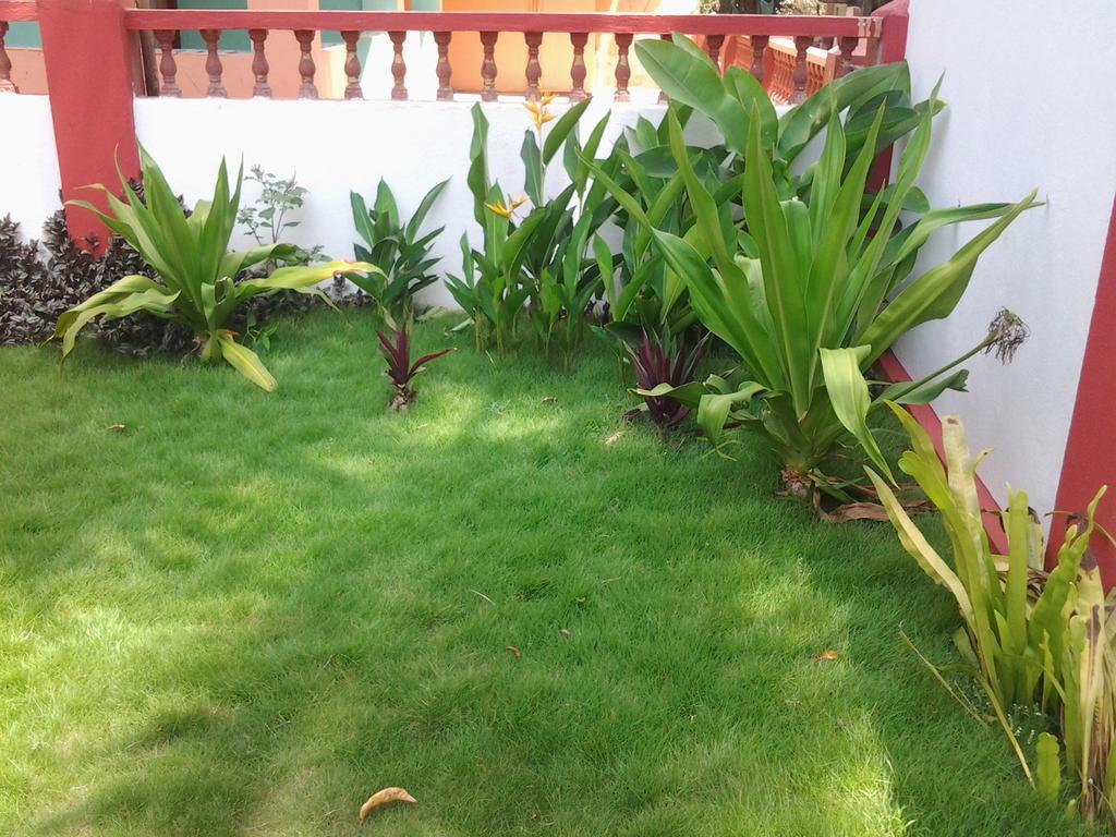 Starco Hotel Anjuna Ngoại thất bức ảnh